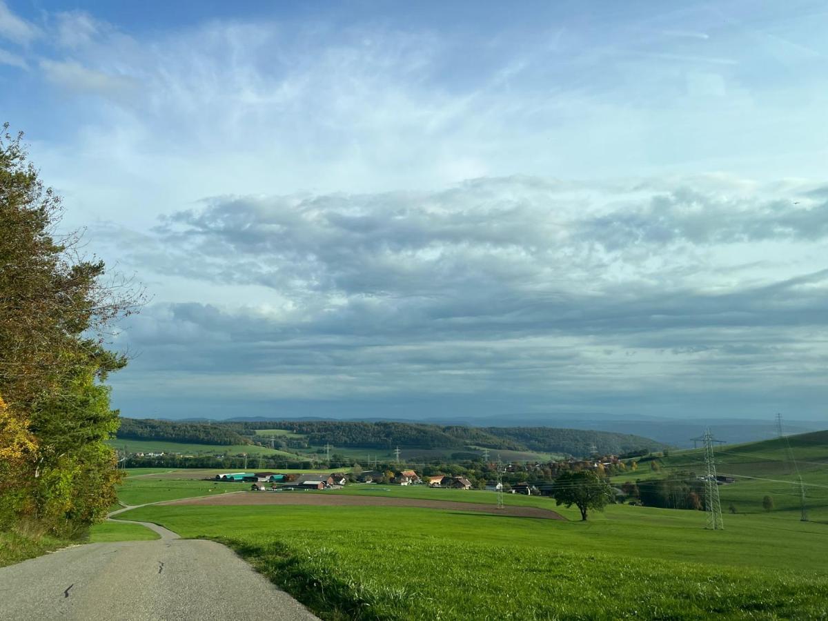 Ferien Im Schwarzwald - Ruhe & Naturverbunden Weilheim Buitenkant foto