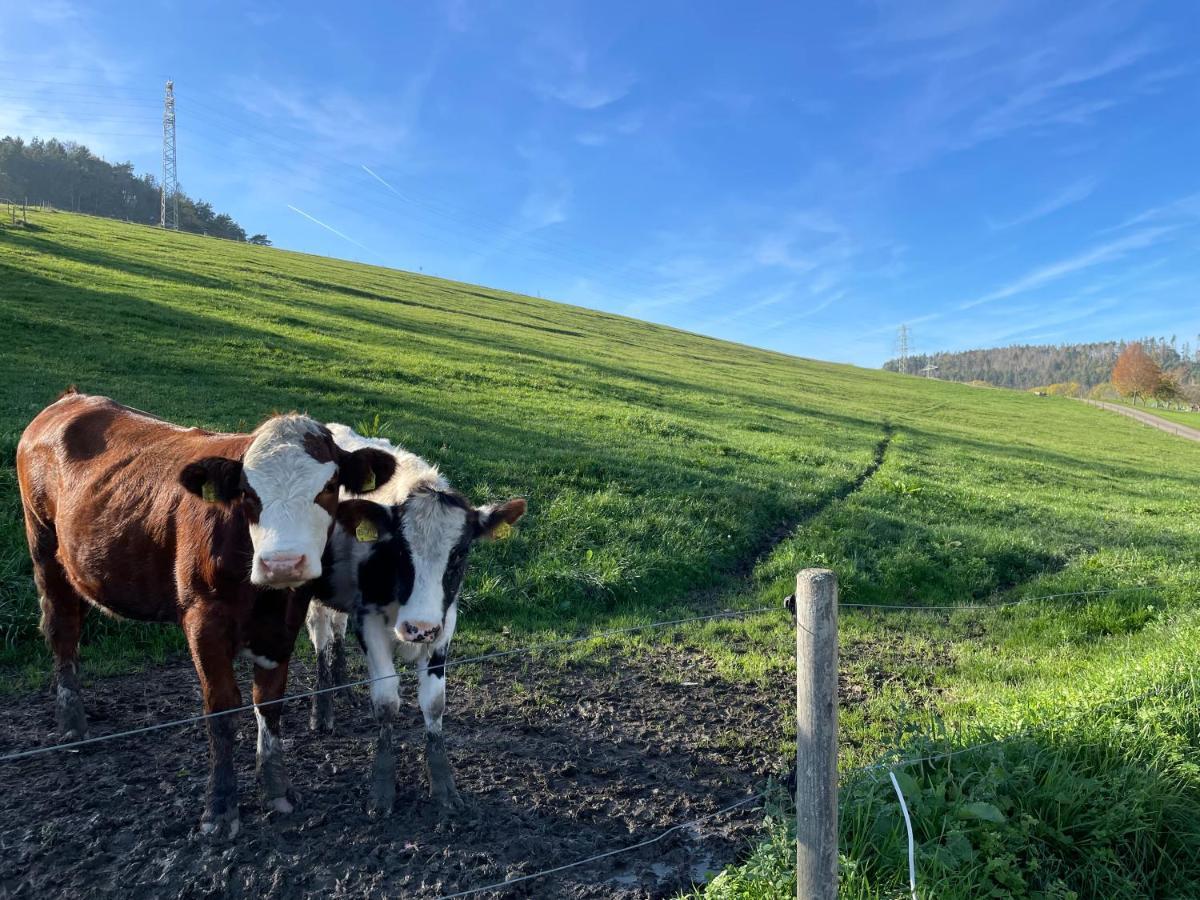 Ferien Im Schwarzwald - Ruhe & Naturverbunden Weilheim Buitenkant foto