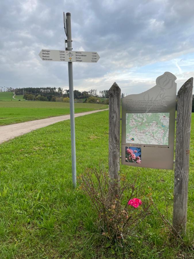 Ferien Im Schwarzwald - Ruhe & Naturverbunden Weilheim Buitenkant foto