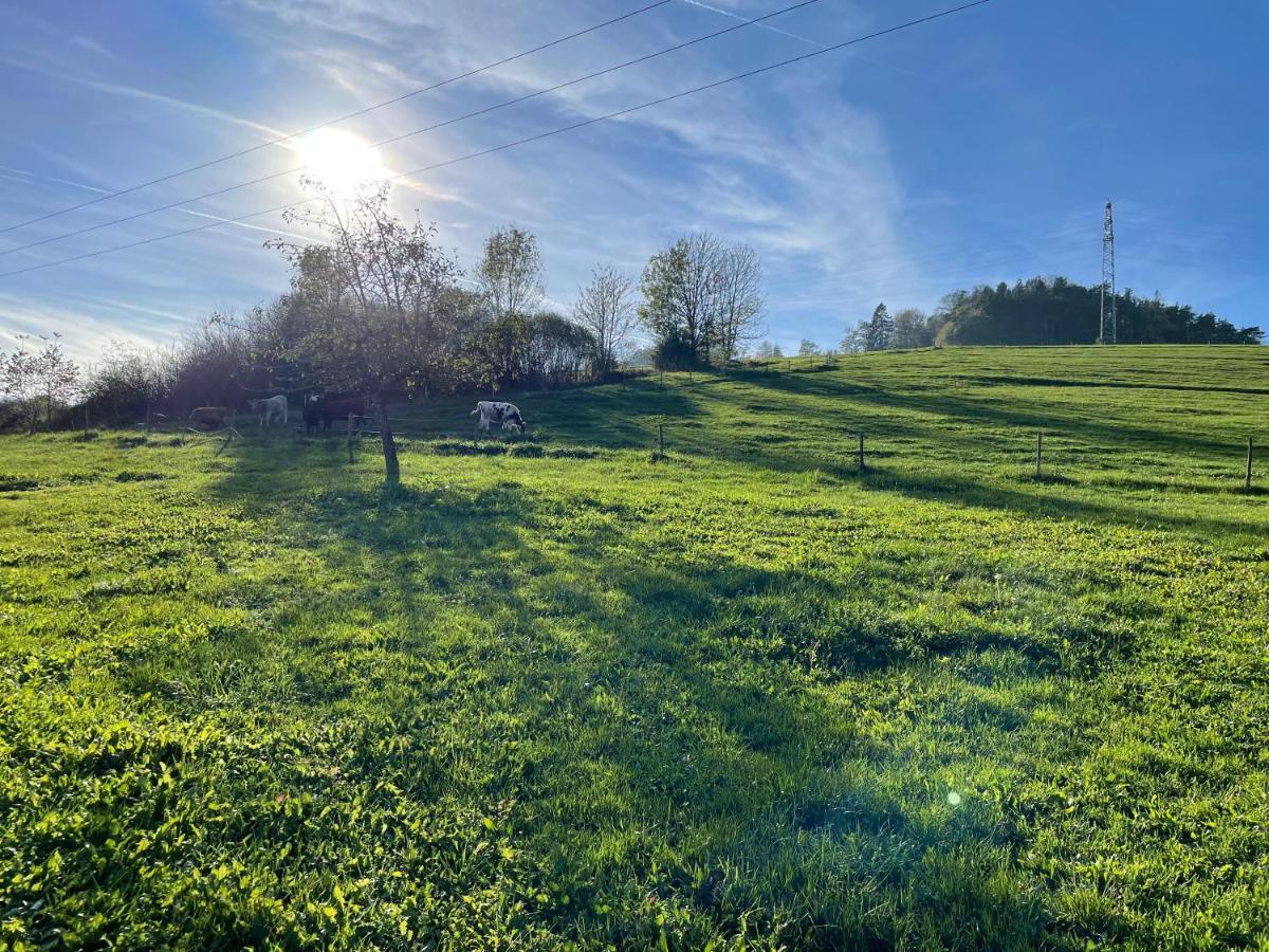 Ferien Im Schwarzwald - Ruhe & Naturverbunden Weilheim Buitenkant foto