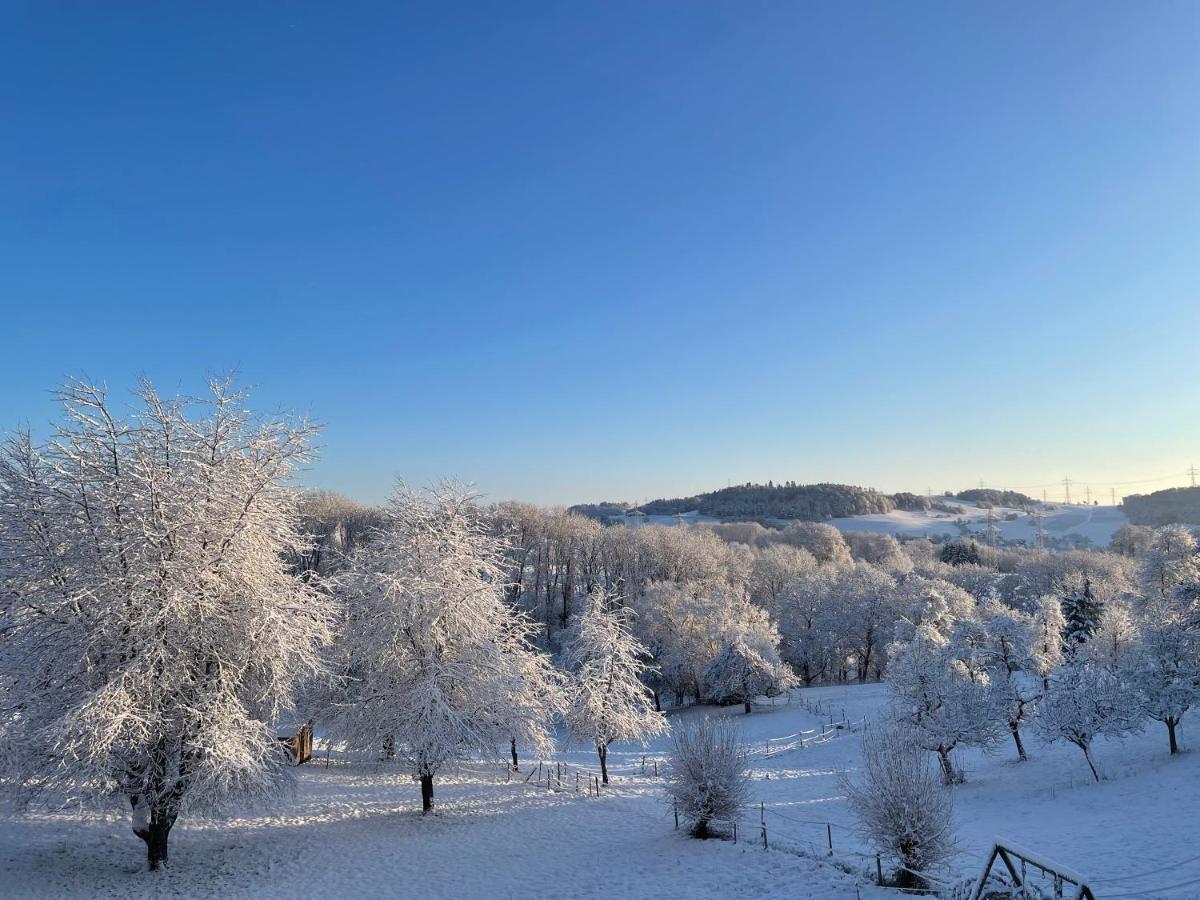 Ferien Im Schwarzwald - Ruhe & Naturverbunden Weilheim Buitenkant foto