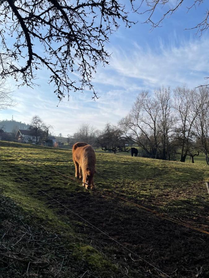 Ferien Im Schwarzwald - Ruhe & Naturverbunden Weilheim Buitenkant foto